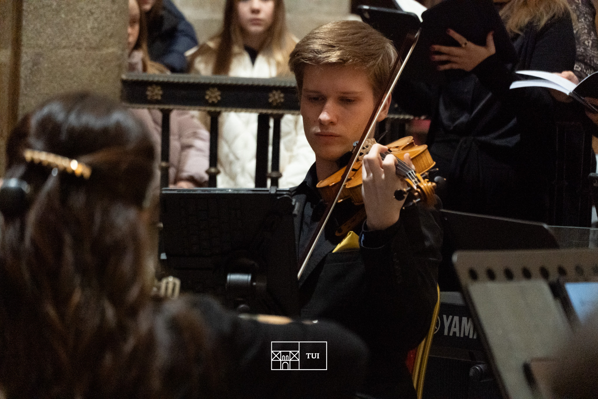 ensemble-15